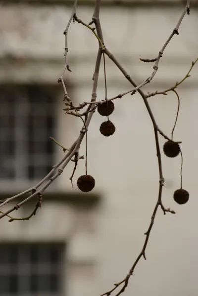 DSC_5784 (Large).JPG